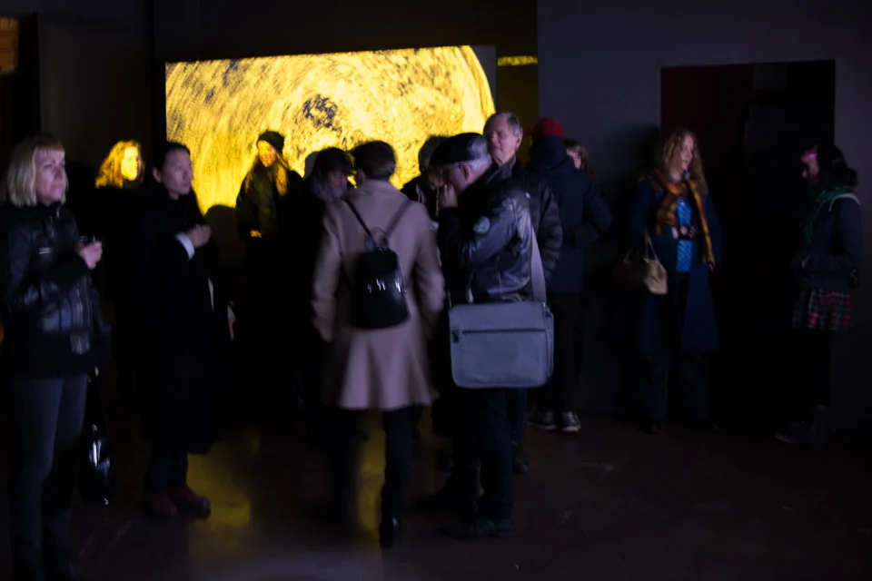 Brain — transformed MRI data visualization