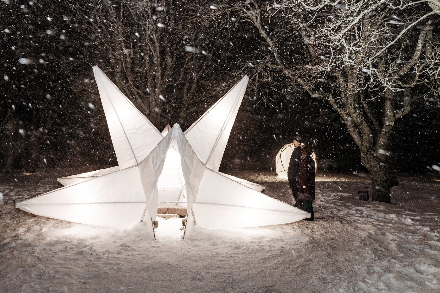 Re-Enlightment — detail